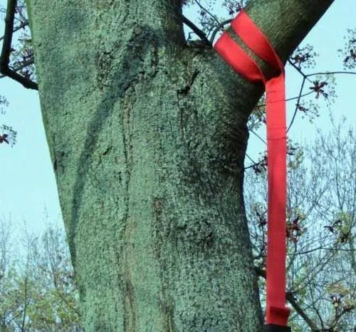 Sling Trainer am Baum befestigen