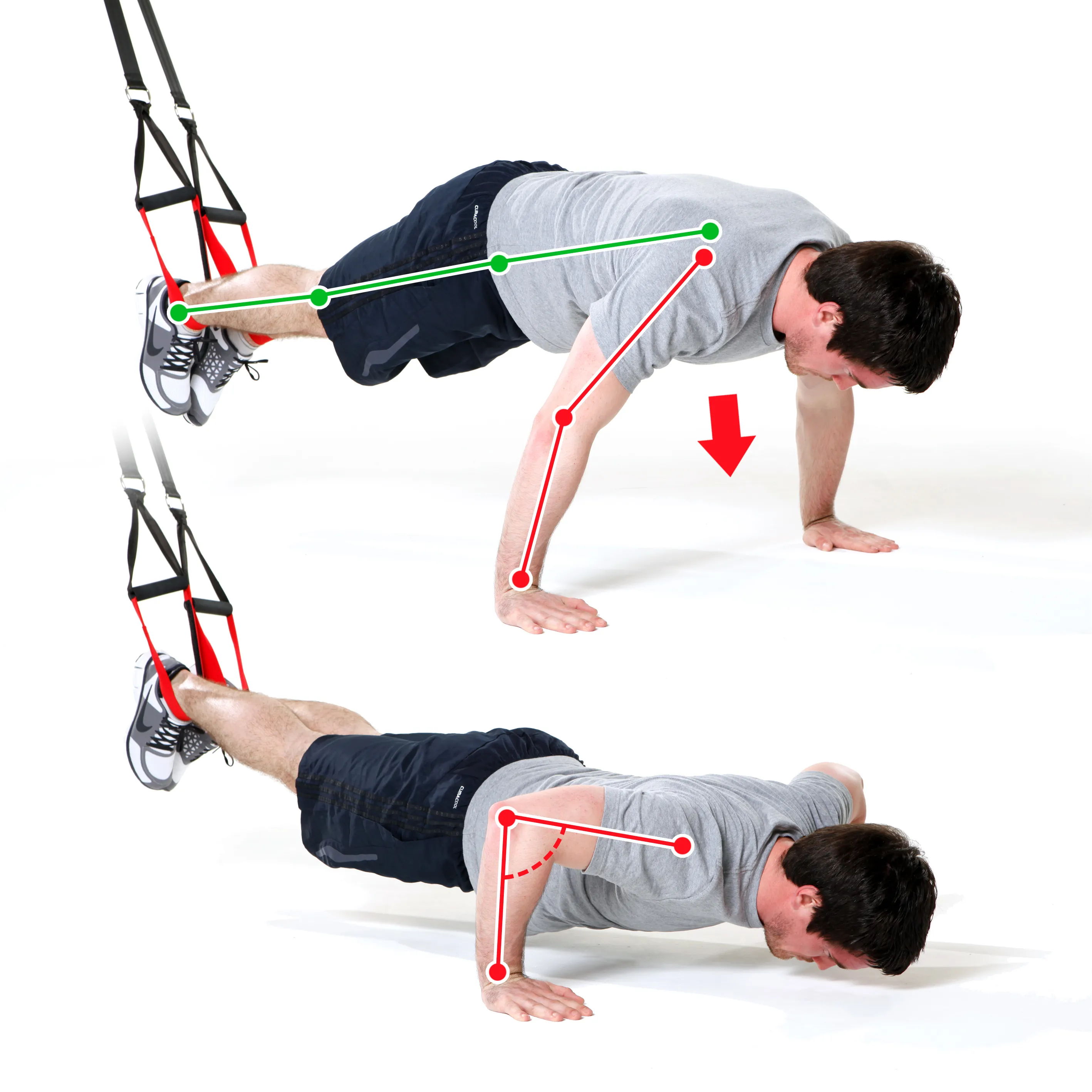 Slingtraining - Push Up